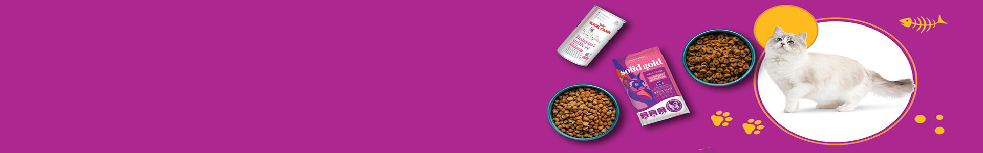 dogbanner