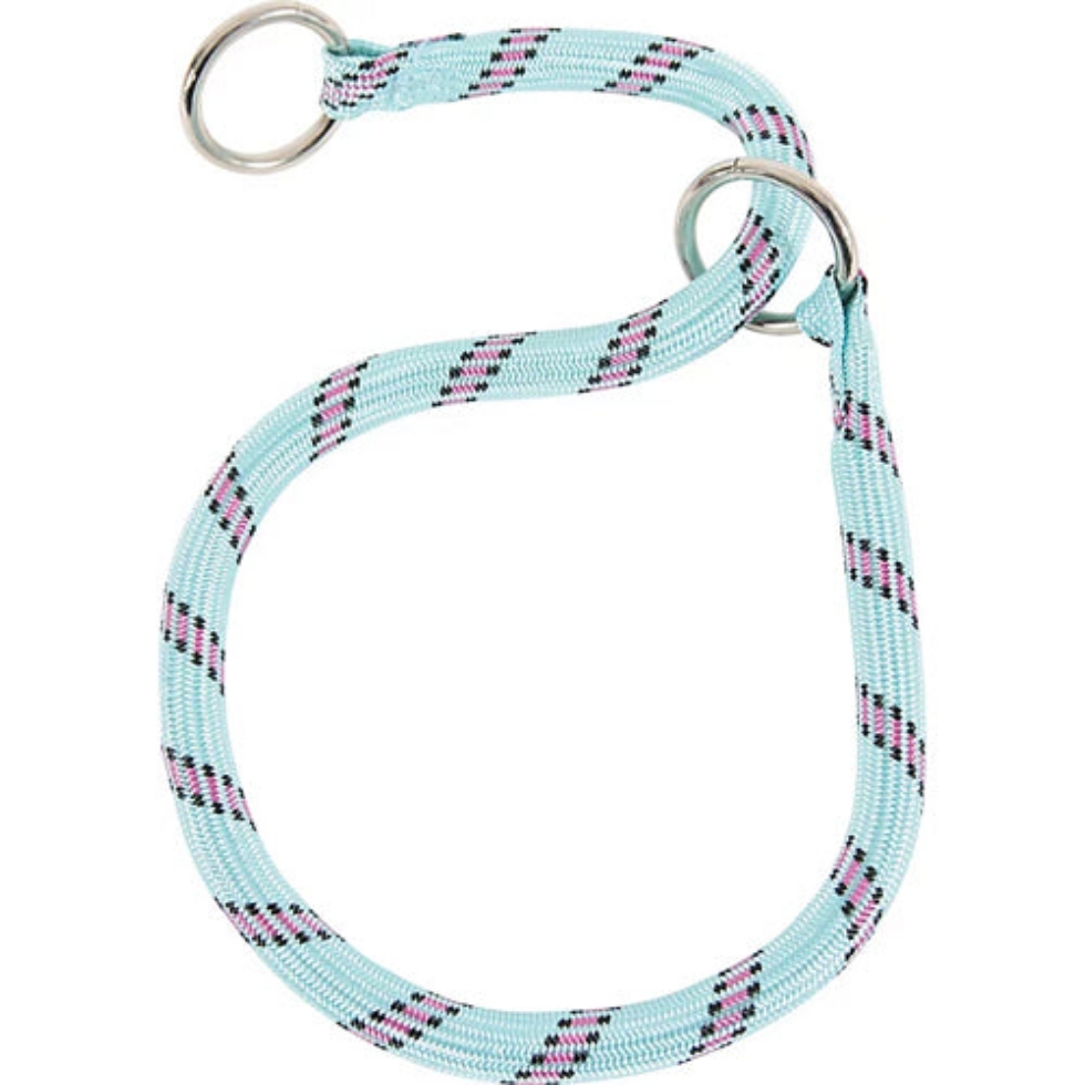 Picture of Zolux Nylon Choke Collar 65Cm Turquoise