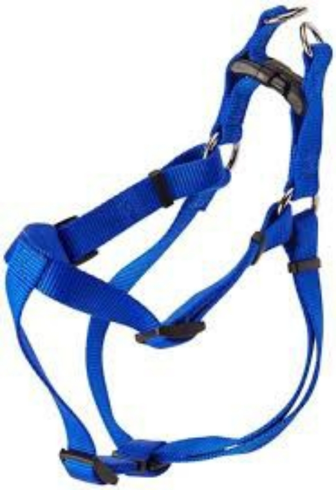 Picture of Coastal 3 4 inch Adj Harness Medium Blue Comfort Wrap