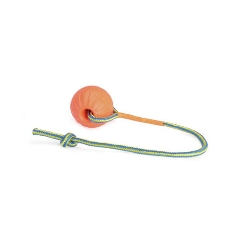 Picture of Camon Dog Toy - Eva Ball With Rope - Orange