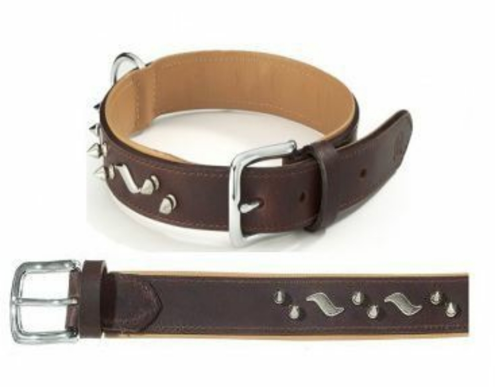 Picture of Camon Colorado Collar with Studs 35x700 mm