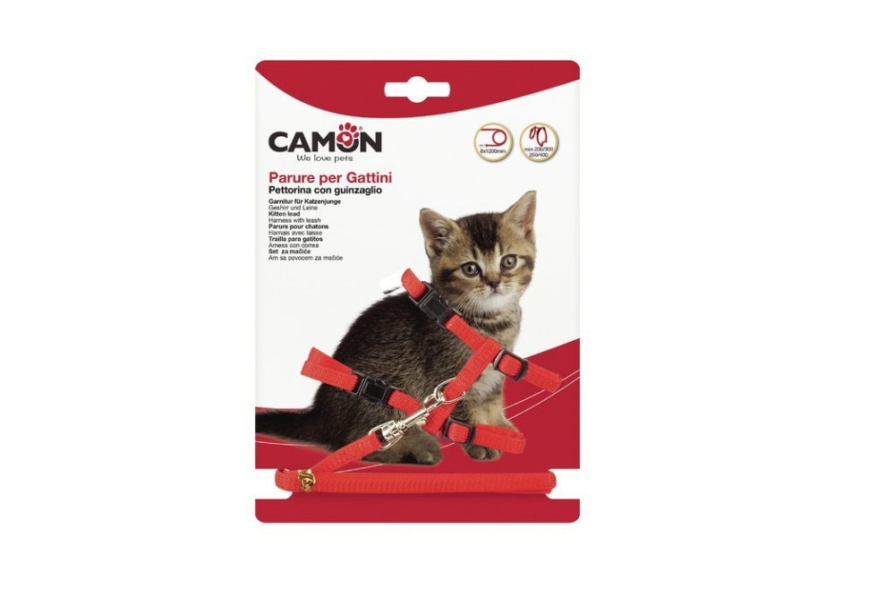 Picture of Camon Nylon Harness N 2 Drmm15 Orange