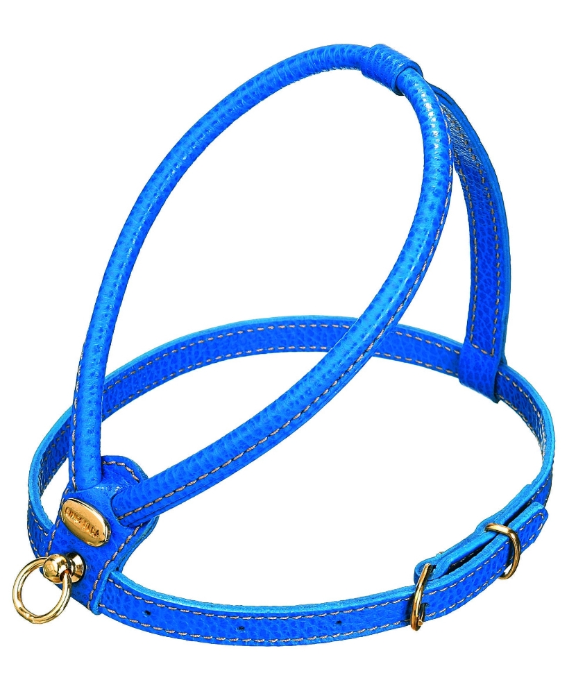 Picture of Camon Harness in Calf Skin Blue Medium