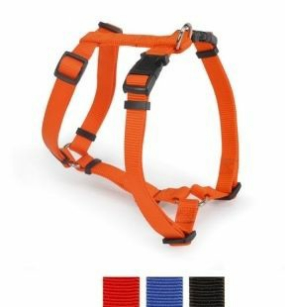 Picture of Camon Harness N 2 Mm15