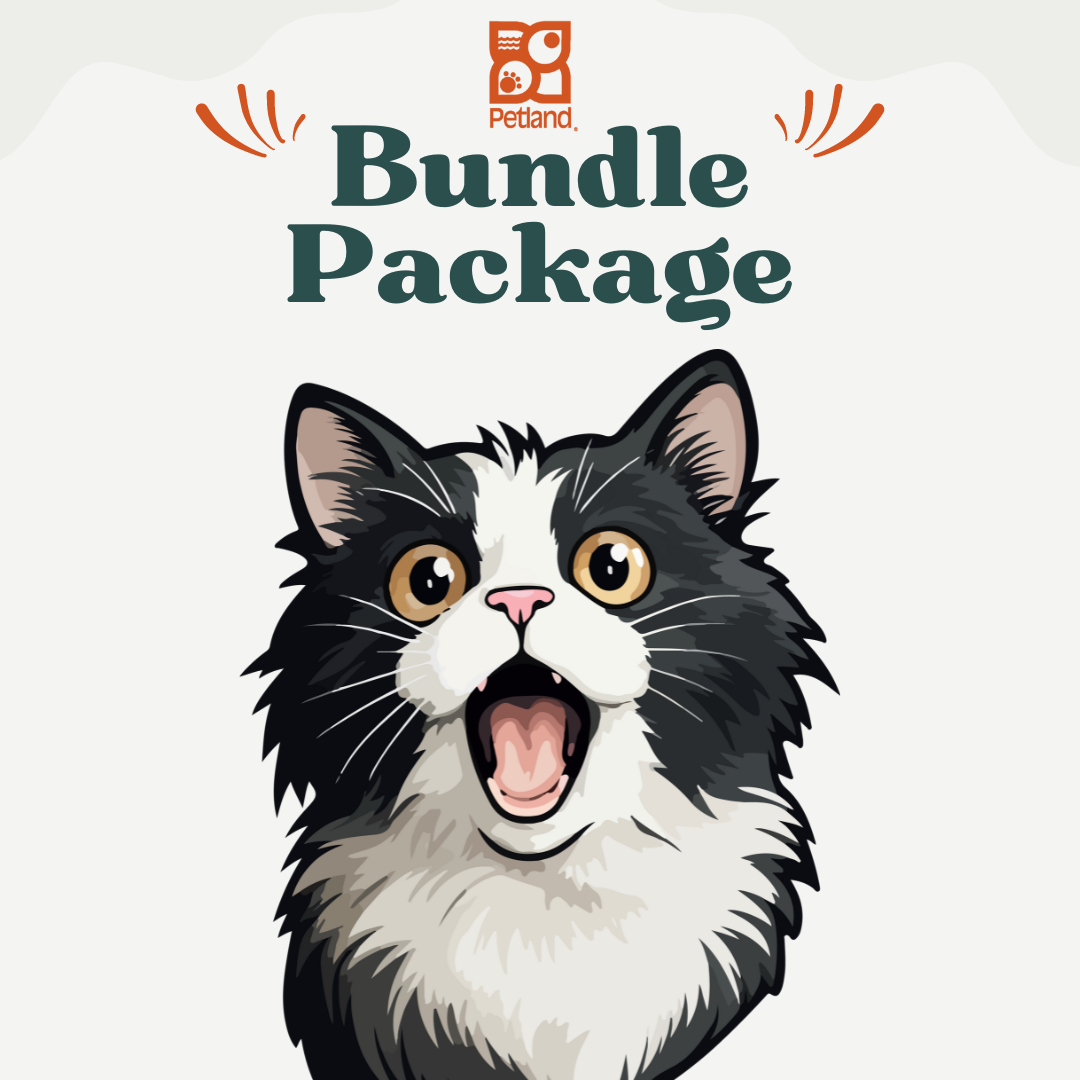 Package : Cats,CAT-PACK, - PETLAND KSA